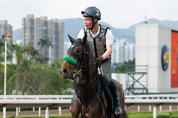 香港のクイーンエリザベス2世カップに出走予定のジョバンニ,ⒸSPAIA(撮影：三木俊幸)