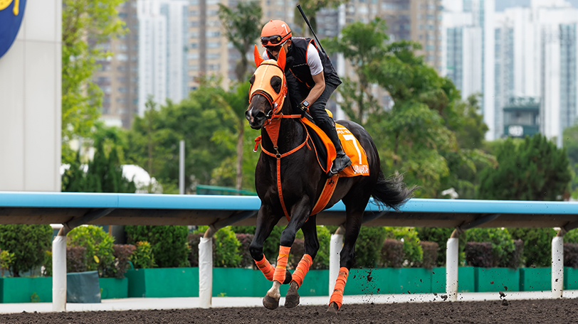 【香港チャンピオンズデー】ジャンタルマンタルら日本調教馬5頭が最終調整　ジョバンニは馬場入りせず