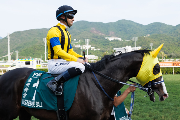 マスカレードボール,ⒸSPAIA（撮影：三木俊幸）