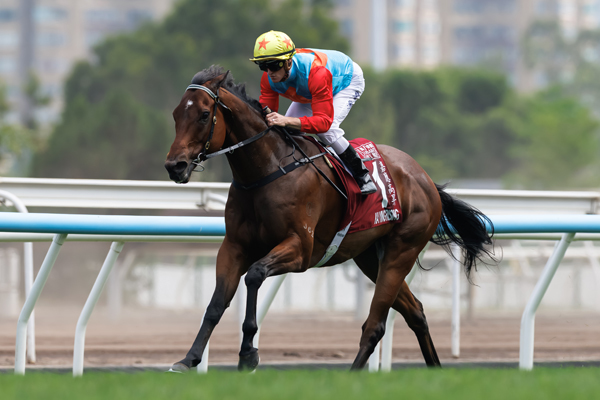 カーインライジング,ⒸSPAIA（撮影：三木俊幸）