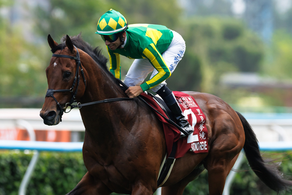 サトノレーヴ,ⒸSPAIA（撮影：三木俊幸）