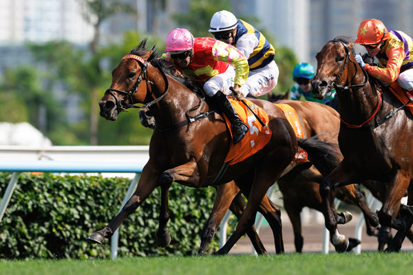 マイウィッシュ,ⒸSPAIA（撮影：三木俊幸）