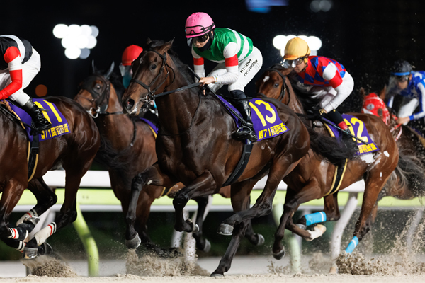 ロックターミガン,ⒸSPAIA（撮影：三木俊幸）