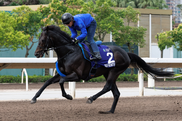 香港のチャンピオンズ＆チャターカップに出走予定のディープモンスター,ⒸSPAIA(撮影：三木俊幸)