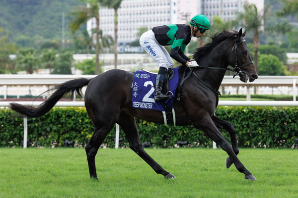 香港のチャンピオンズ＆チャターカップに出走したディープモンスター,ⒸSPAIA(撮影：三木俊幸)