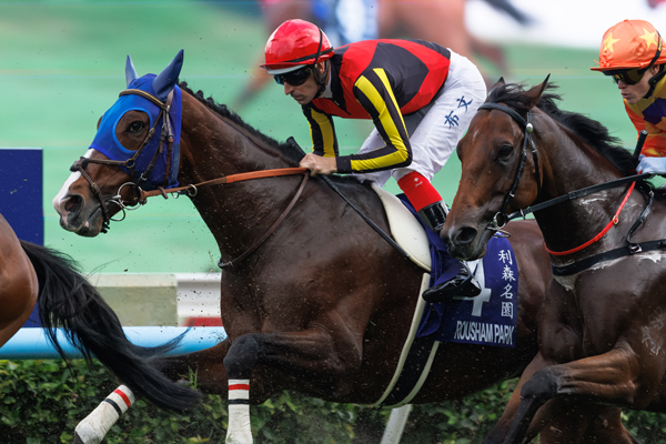 香港のチャンピオンズ＆チャターカップに出走したローシャムパーク,ⒸSPAIA(撮影：三木俊幸)