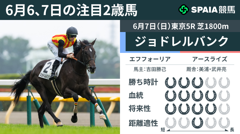 注目2歳馬】エフフォーリア産駒ジョドレルバンク 好位で折り合い