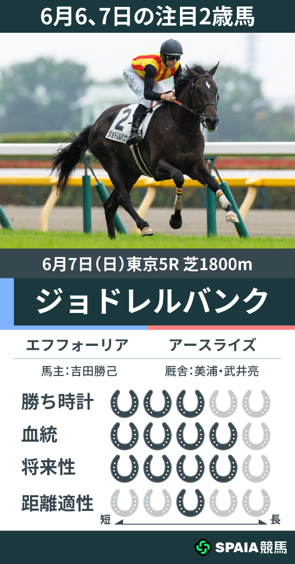 6月6、7日の注目2歳馬ジョドレルバンクの能力値,ⒸSPAIA(撮影:三木俊幸)