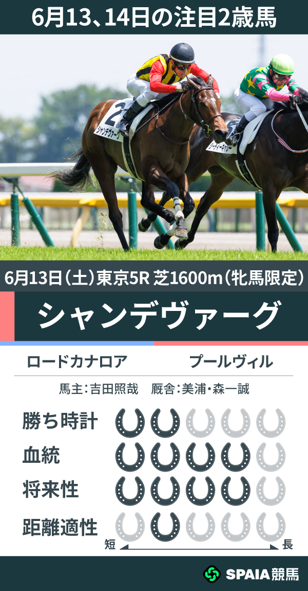 6月13、14日の注目2歳馬シャンデヴァーグの能力値,ⒸSPAIA(撮影:三木俊幸)