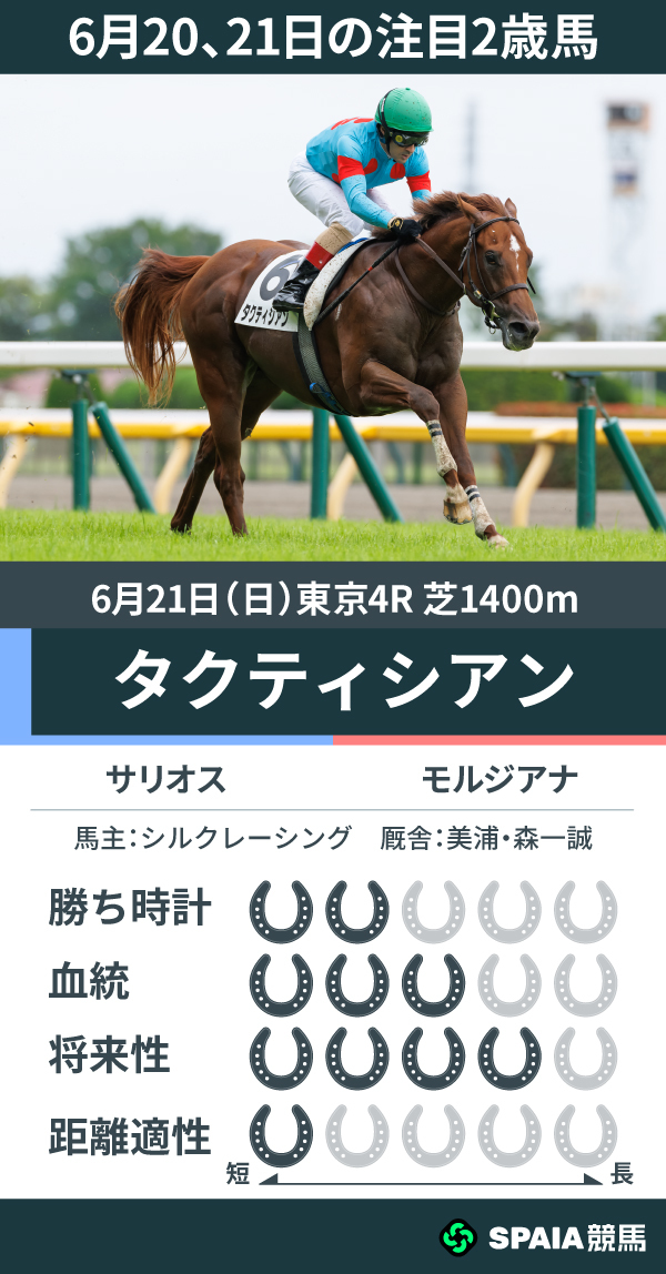 6月20、21日の注目2歳馬タクティシアン,ⒸSPAIA