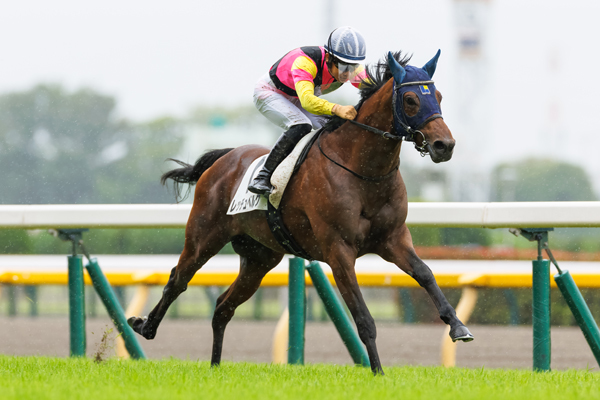 6月20、21日の注目2歳馬レッチュベルク,ⒸSPAIA