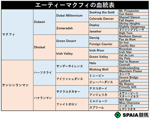 エーティーマクフィの血統表,ⒸSPAIA