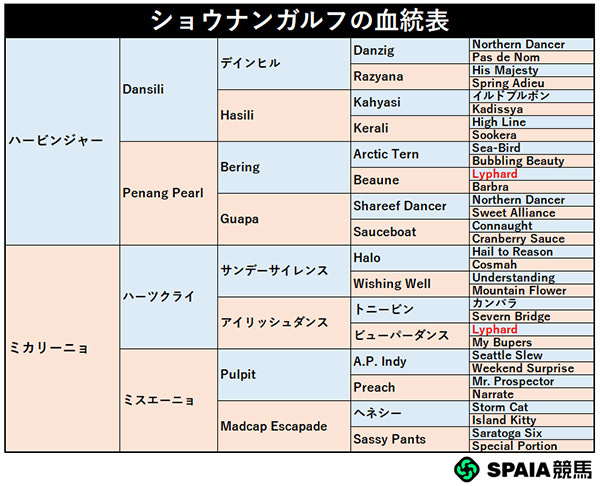 ショウナンガルフの血統表,ⒸSPAIA