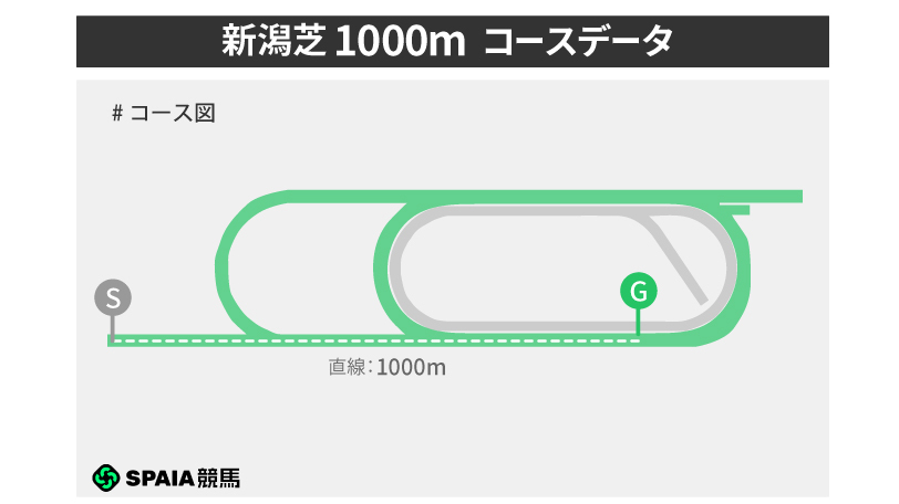 新潟芝1000mのコースレイアウト,ⒸSPAIA