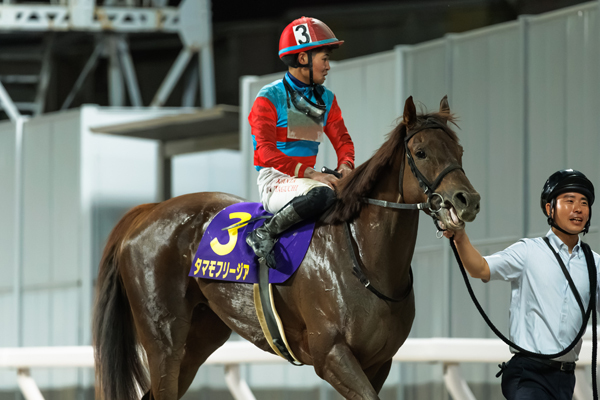 2026年スパーキングレディーカップ タマモフリージア,ⒸSPAIA(撮影:三木俊幸)