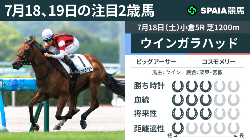 7月18、19日の注目2歳馬ウインガラハッド,ⒸSPAIA（撮影：三木俊幸）