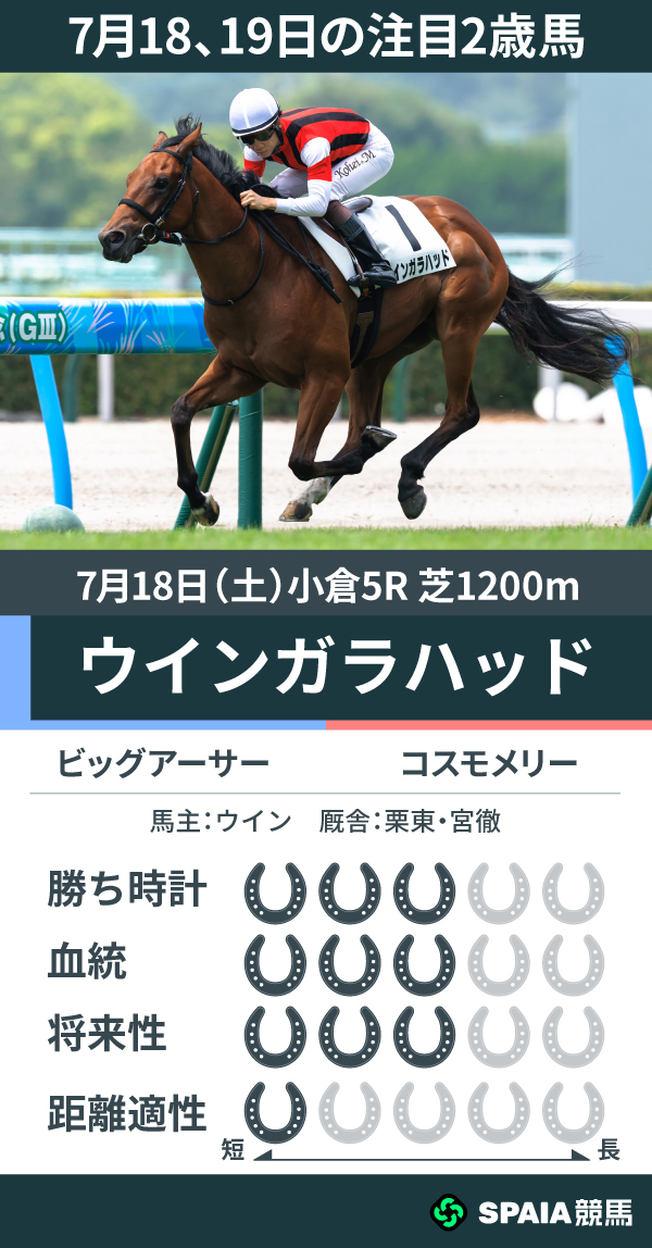 7月18、19日の注目2歳馬ウインガラハッド,ⒸSPAIA（撮影：三木俊幸）