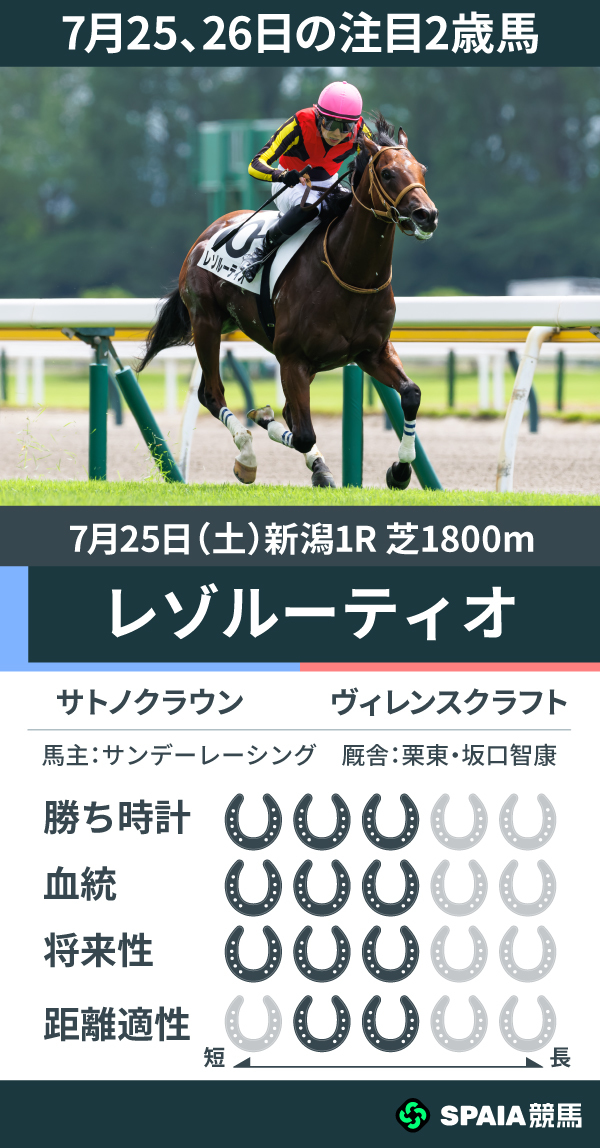 7月25、26日の注目2歳馬レゾルーティオ,ⒸSPAIA（撮影：三木俊幸）