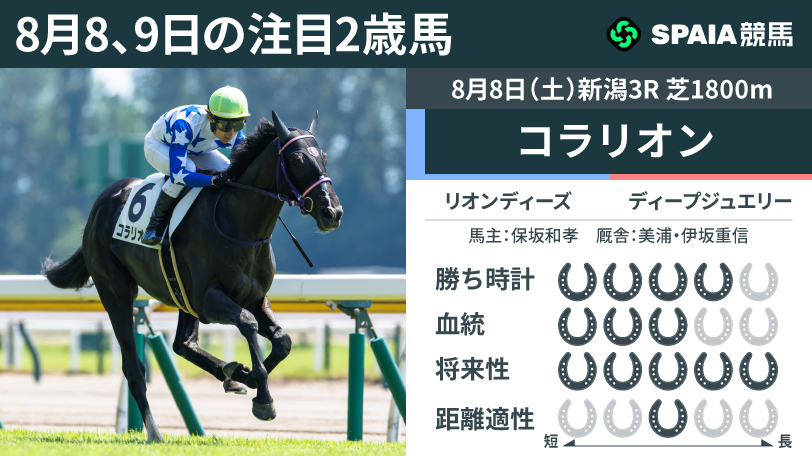 【注目2歳馬】リオンディーズ産駒コラリオン　馬なりで突き抜け2馬身半差快勝