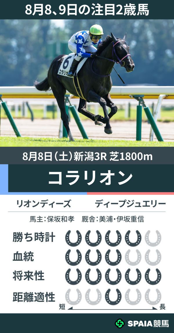8月8、9日の注目2歳馬,ⒸSPAIA（撮影：三木俊幸）