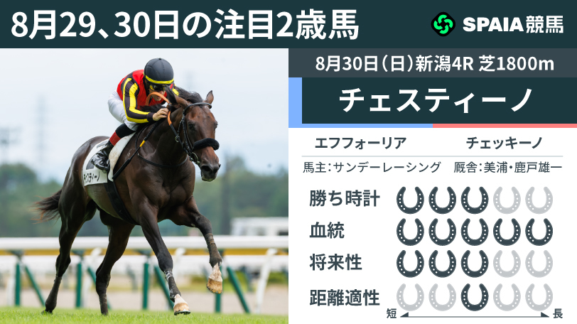 8月29、30日の注目2歳馬,ⒸSPAIA(撮影:三木俊幸)