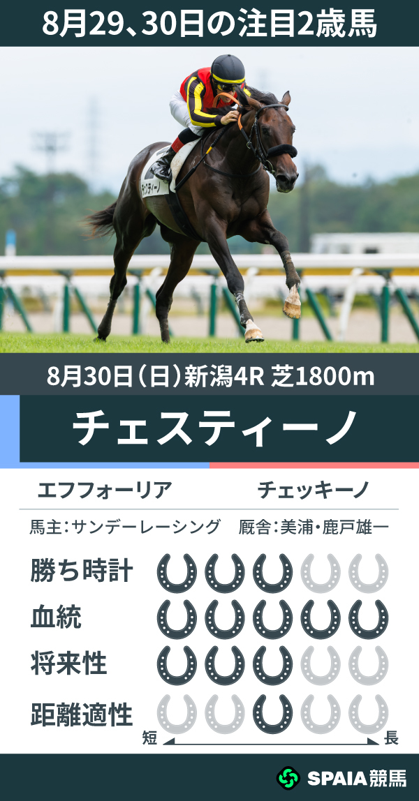 8月29、30日の注目2歳馬チェスティーノ,ⒸSPAIA(撮影:三木俊幸)