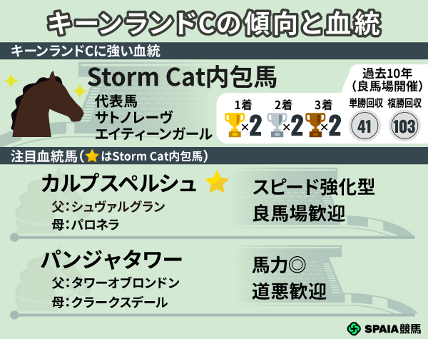 キーンランドCの血統と傾向,ⒸSPAIA