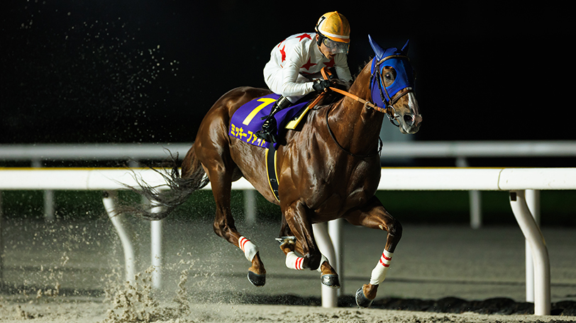 【日本テレビ盃回顧】ミッキーファイトが7度目の重賞制覇　危なげなく3馬身差の快勝