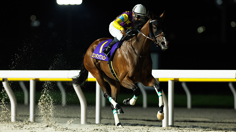 【マリーンC回顧】ロンギングフォユーが4馬身差で逃げ切り　3連勝で重賞初制覇を飾る