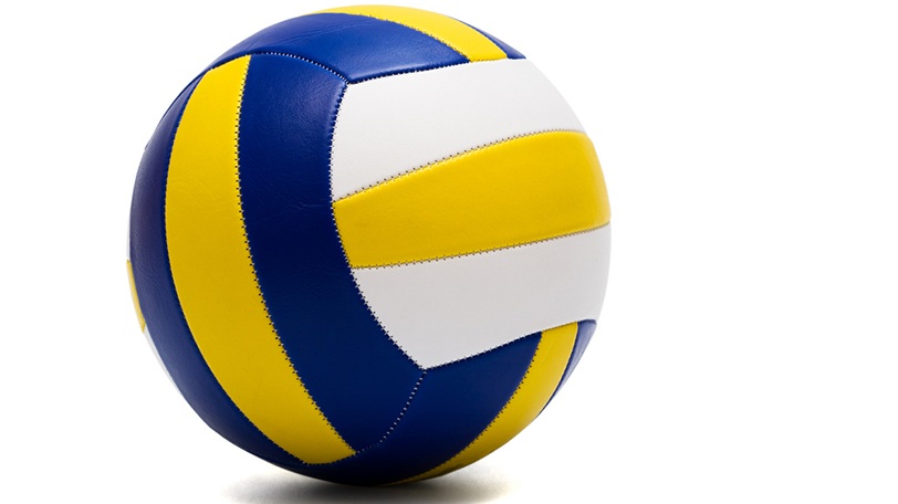 まさにコートの守護神 女子バレー日本代表を救ってきた名リベロたち Spaia スパイア