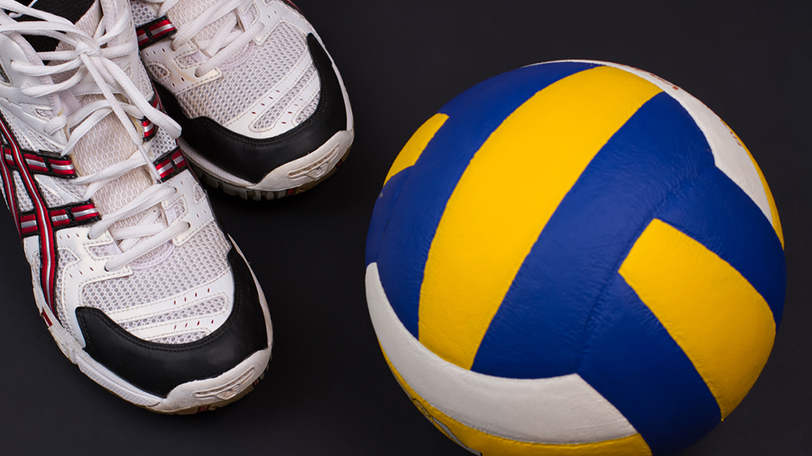 まさにコートの守護神 女子バレー日本代表を救ってきた名リベロたち Spaia スパイア