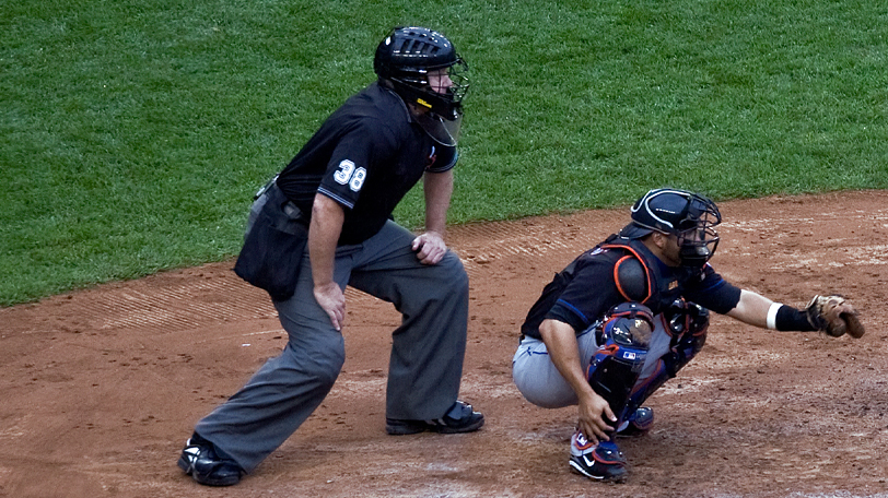 ⒸDavid W. Leindecker/Shutterstock.com