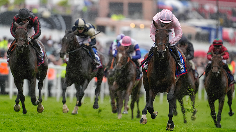 競馬の「ノンランナー」とは　英国ダービーで起きた馬券返還、JRA「導入の是非検討したい」