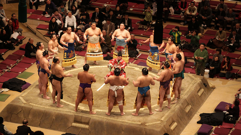 sumo wrestler