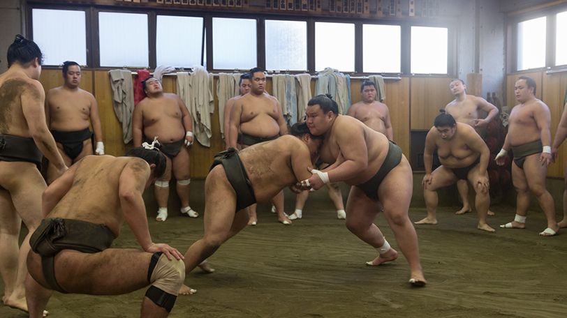 sumo training