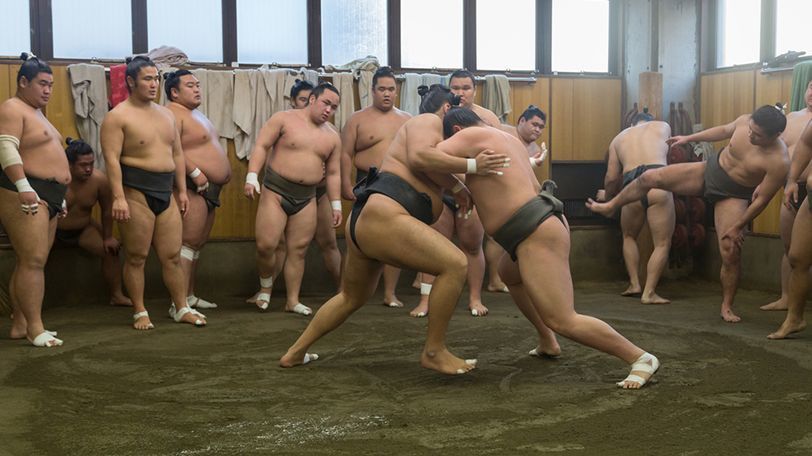 相撲部屋