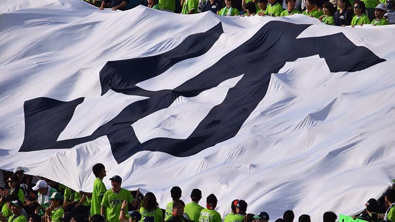 東京ヤクルトスワローズ,ⒸSPAIA