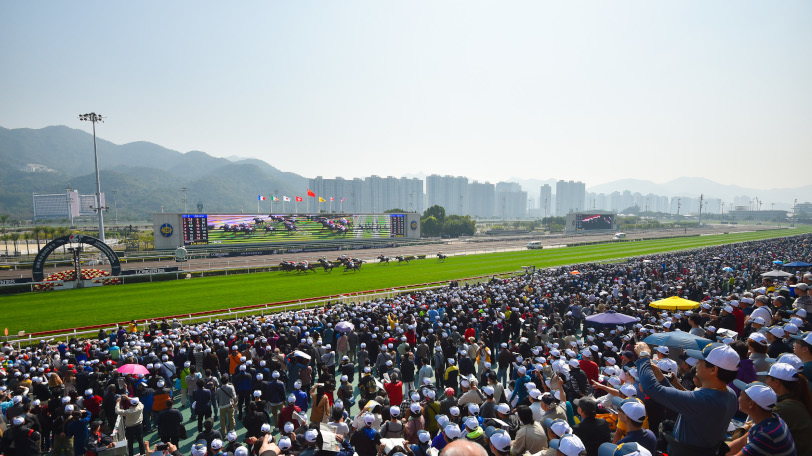 日本馬にもチャンスあり！馬場適性から見る香港国際競走全4レースを徹底予想