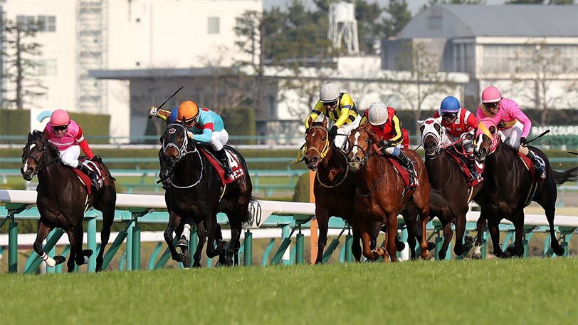 池添騎手が史上最多の4勝目 ！3歳馬ブラストワンピースが勝利した有馬記念回顧