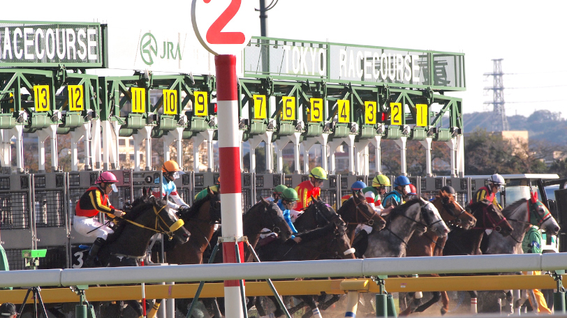 ベスト条件のサンライズか、未知の魅力のケイアイか 根岸Sは差し馬を狙え！
