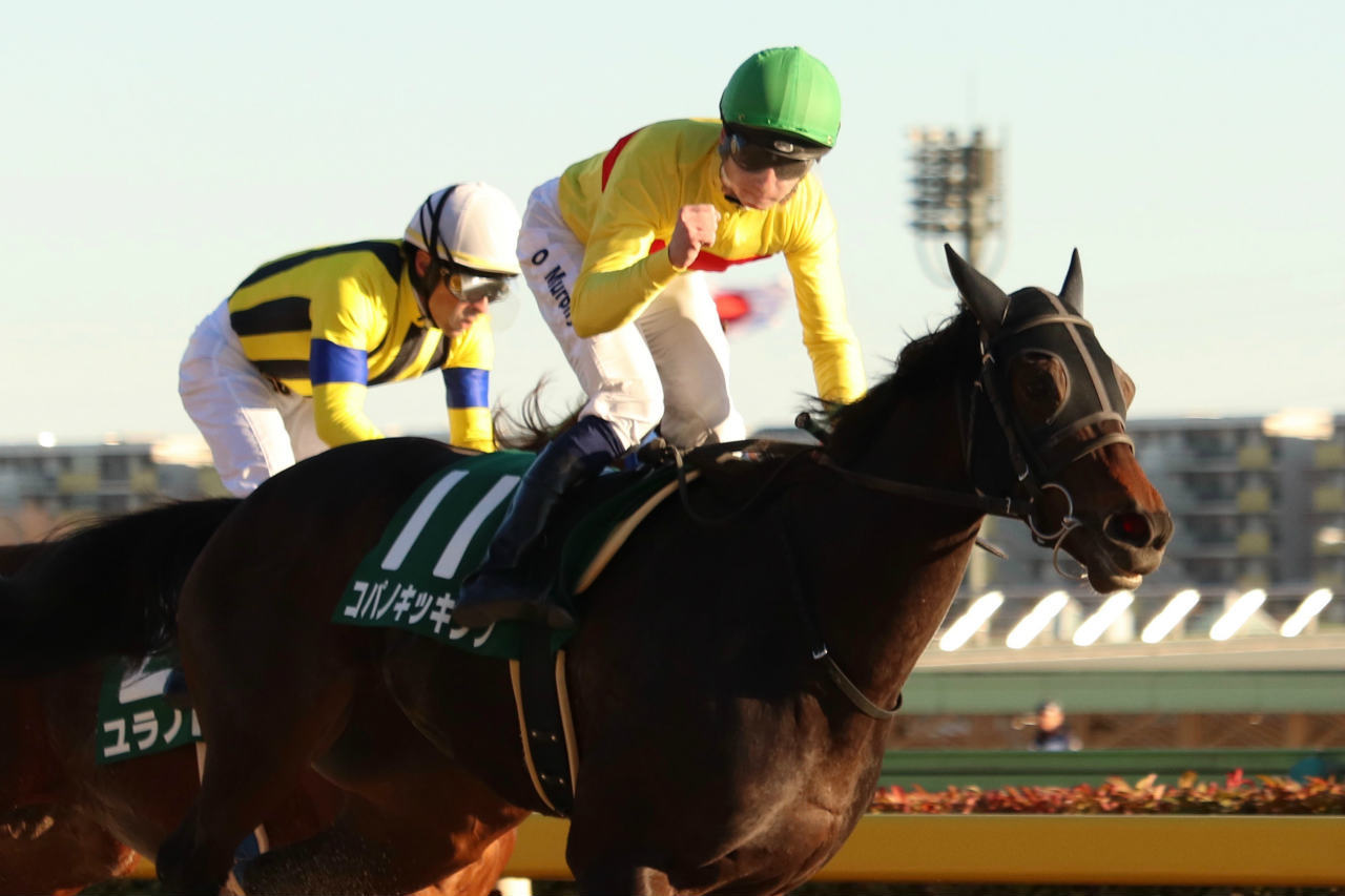 コパノキッキング