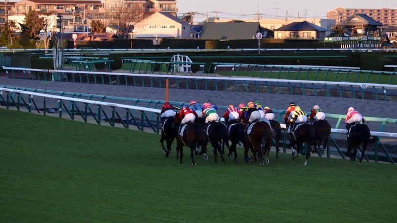 【シルクロードS】人気に応えダノンスマッシュが勝利　予想の狙いは合っていたが…