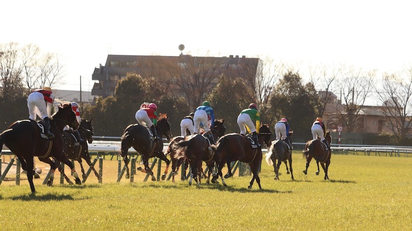 愛知杯はワンブレスアウェイが勝利　狙った前走1000万勝ちのあの馬は？