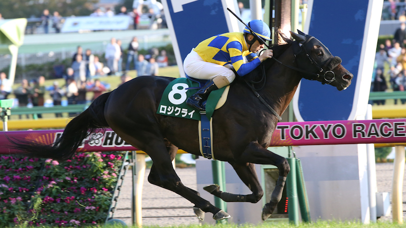 馬場適性から狙うは先行力のあるロジクライ！ 東京新聞杯を斬る