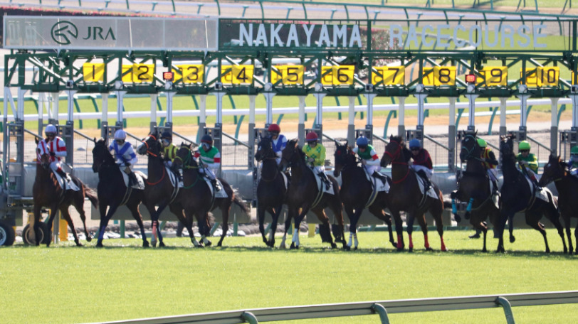 フェアリーSは「マイル重賞」＝「ロードカナロア」の方程式で決まり！