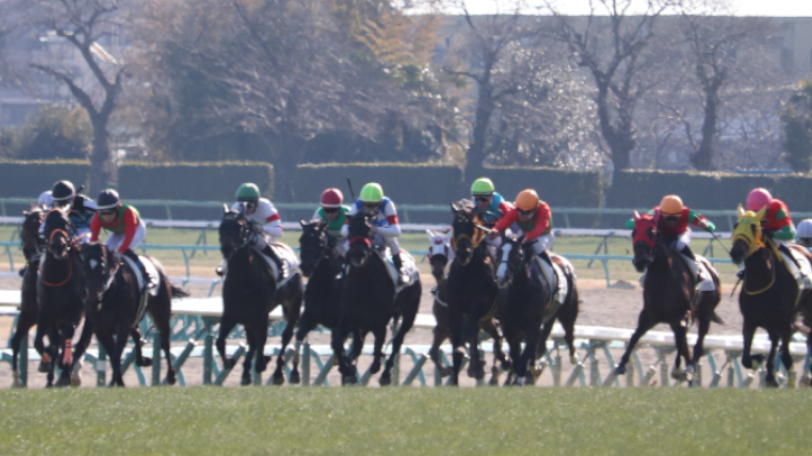 素質馬そろいでも、きさらぎ賞は負けた経験のある馬が穴をあける