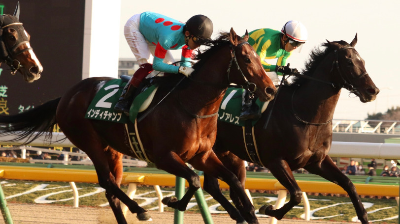 インディチャンプが快勝した東京新聞杯 馬場適性予想は推奨馬が馬券圏内独占も……