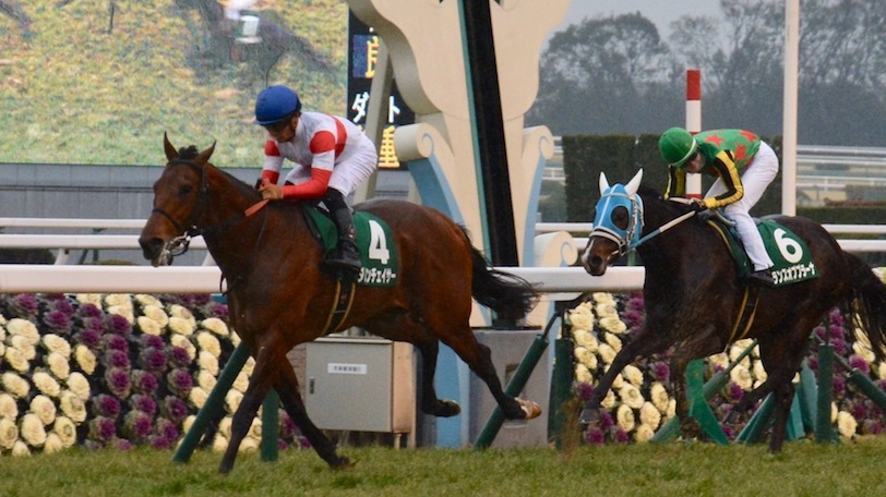 きさらぎ賞の予想は完敗　2億7000万の高額馬、ダノンチェイサーが見事勝利