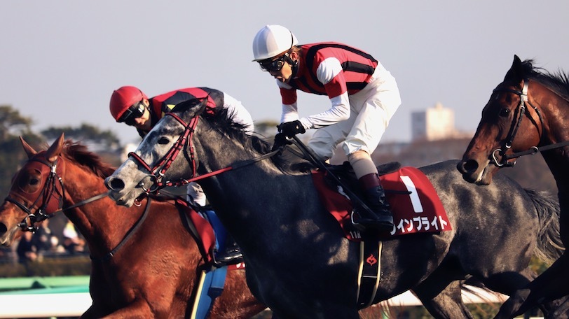 中山巧者ウインブライトがGⅠ馬一蹴 SPAIA予想陣は的中なったか？