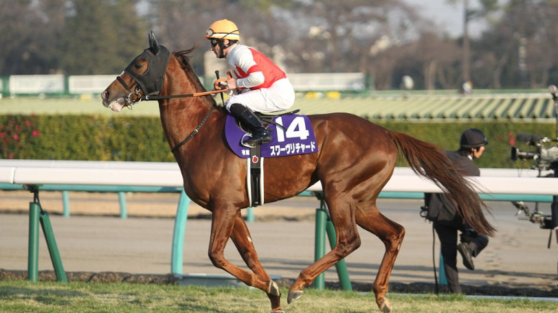 視線の先は世界戦へ！中山記念の本命はスワーヴリチャード